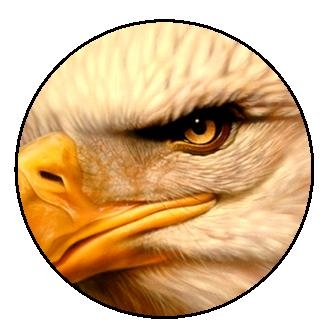 Eagles Eye by Jaime Rodriguez done with Renegade Spirit and Badger Universal - Photorealism