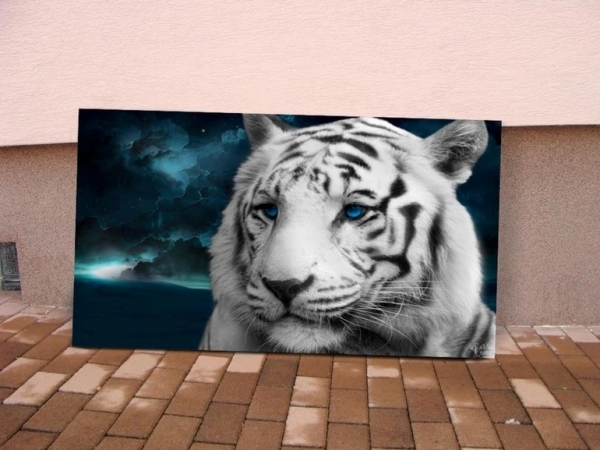 Saatchi Art Artist: Ren&eacute; &Scaron;urda; Airbrush 2013 Painting "White Tiger"
