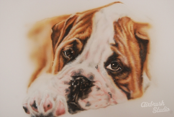 Photorealistic Airbrush Art