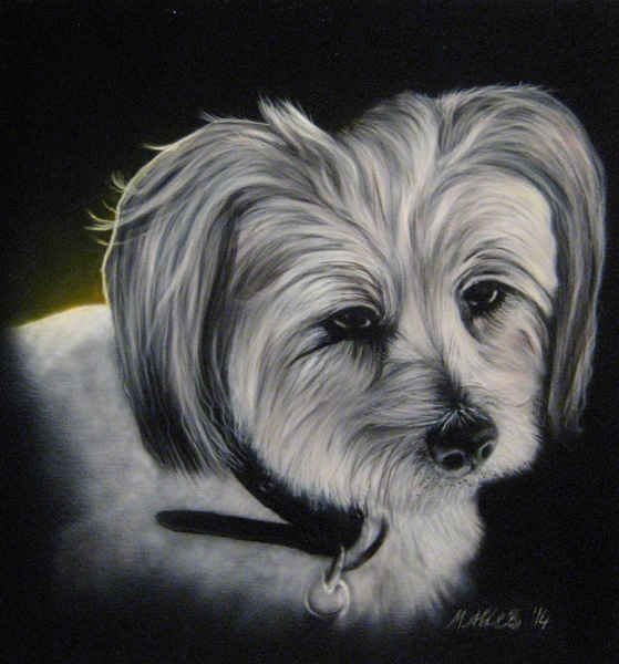 "Dee Jay" - Portrait of my brothers little dog. 45x50cm