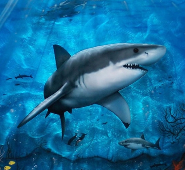 Shark,airbrush,phoenix,arizona,custom,paint,murals,flames | Hypnotic Air