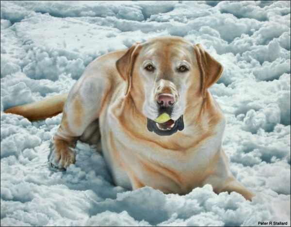 Airbrush portrait of Buckie playing with tennis ball in the snow. Acrylic on gessoed board. - Airbrush Artwoks