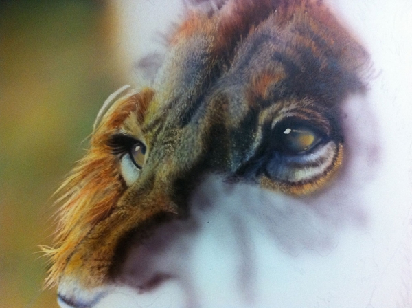 Airbrush tutorial, Realistic Lion by Haasje - airbrushtutor
