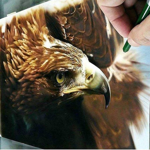 Dru Blair - Airbrush Art