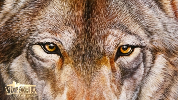 Wolf - Details, Airbrush-Art by Victoria Airbrush Art