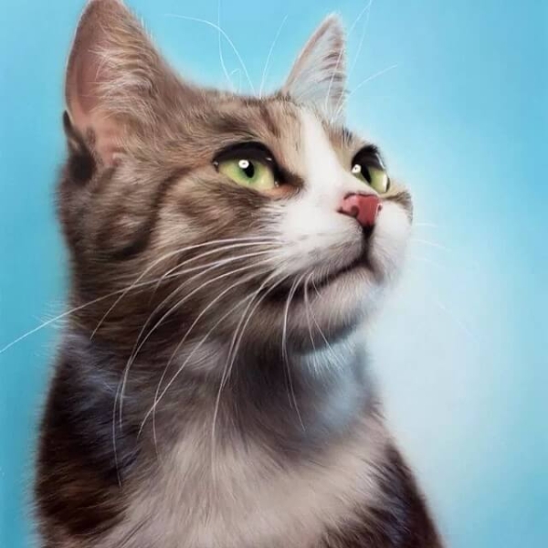 Cat - Realistic Airbrush Animal Paintings - Design Stack - Favorite Art