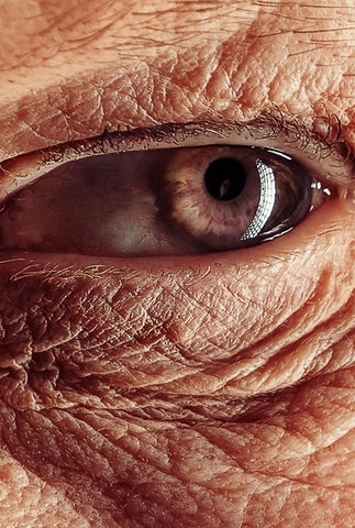 Airbrush freehand | Photorealism by Blair School of Art - Fotorealismo