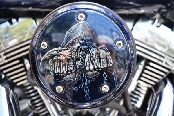 Dannielle's Kustom Airbrushing & Tech - Airbrush Artwoks