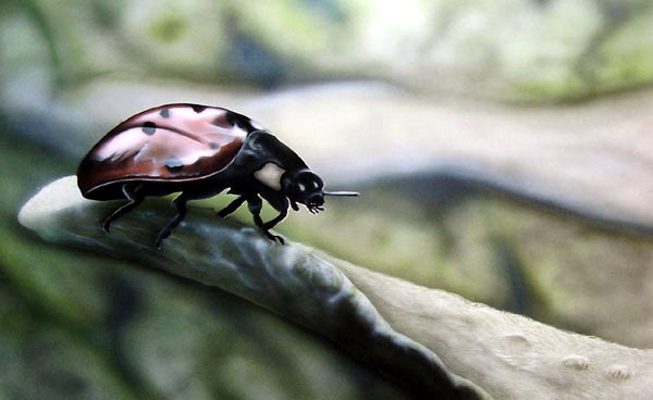 Ladybug 70 x 50 cm freehand