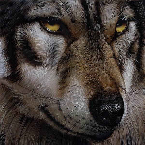 Moon Wolf Painting by Jurek Zamoyski - Moon Wolf Fine Art Prints and Posters for Sale