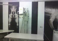 Made to order for a pet-clinic... - Airbrush Artwork and Murals