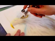 Harder & Steenbeck Airbrush: Eagle Wildlife  - Airbrush Video Tutorials