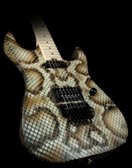 Airbrush Charvel Custom Warren Demartini Dinky Guitar Snake Skin - Fotorealismo