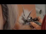 Ecureuil aérographie Squirrel airbrush painting peinture contemporaine - Airbrush Videos