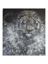 blackandwhite - White Tiger by Julia Tapp - Airbrush Artwoks