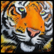 Canvas 100x100cm - Airbrush Artwoks