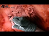 Airbrush Video - Lion - Airbrush Effects - Airbrush Videos