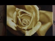Video Step by step Airbrush Painting of a Rose - Airbrush Videos