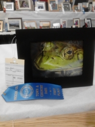 Blue ribbon bullfrog - Basepaint