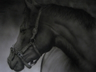 Horse, monochrome airbrush art - Favorite Art