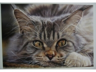 Dutch airbrush: Airbrush art - Favorite Art