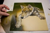 Brenda D. Johnson Studio: Wolf Pup WIP in steps. - Creative Learning