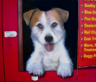 Dog wash Trailer (rear door) - AUTO ART