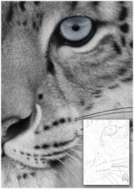 Airbrushing the leopard! More on #FuriousAirbrush,com - Airbrush Step by Step