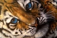 Victoria Airbrush Art - Favorite Art