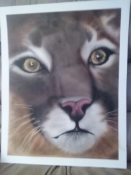 Finished picture - Airbrush Step by Step