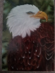 Eagle on Illastration 5X7 board - Basepaint