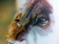 Airbrush tutorial, Realistic Lion by Haasje - airbrushtutor - Creative Learning