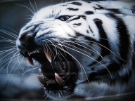 Tiger airbrushing by aiRMaster777 - Kustom Airbrush