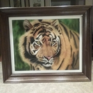Tiger 16 x20 Painted with a badger Krome,candy 2.0 and golden hi flow paint - Basepaint