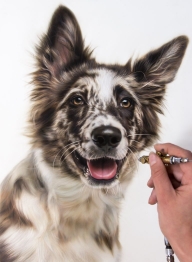 Photorealistic Airbush | Pet Courses Pictures | Foxy Studio - Creative Learning