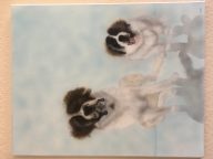 Airbrush - Canvas