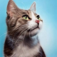 Cat - Realistic Airbrush Animal Paintings - Design Stack - Favorite Art