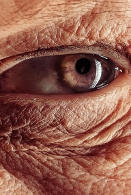 Airbrush freehand | Photorealism by Blair School of Art - Fotorealismo
