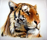 iPaint Airbrush Studio-Home-Pittsburgh,PA - My Paintings