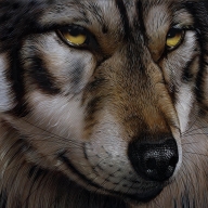 Moon Wolf Painting by Jurek Zamoyski - Moon Wolf Fine Art Prints and Posters for Sale - Photorealism