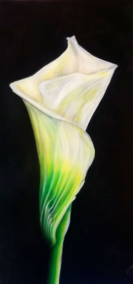 Calla Lily - Airbrush Artwoks