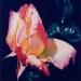 Airbrush Photorealistic Rose