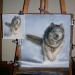 Running Wolf: step-by-step airbrush