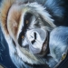 Golilla Airbrush Artwork