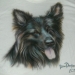 Deutscher Schäferhund Portrait - Airbrush Portraits - Airbrush Bilder - Lizardairbrush.de