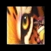 ▶ Tiger eyes.wmv - Jurek