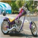 airbrus custom paint