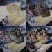 Airbrush Step by Step - art-tehnika.ru