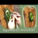 Hyperrealistic freehand #Airbrush project on wood!!- Rose beetle - Video